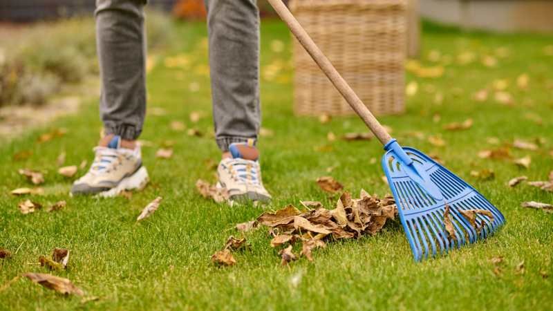 Effective Outdoor and Garden Cleaning Tips for a Healthier Home