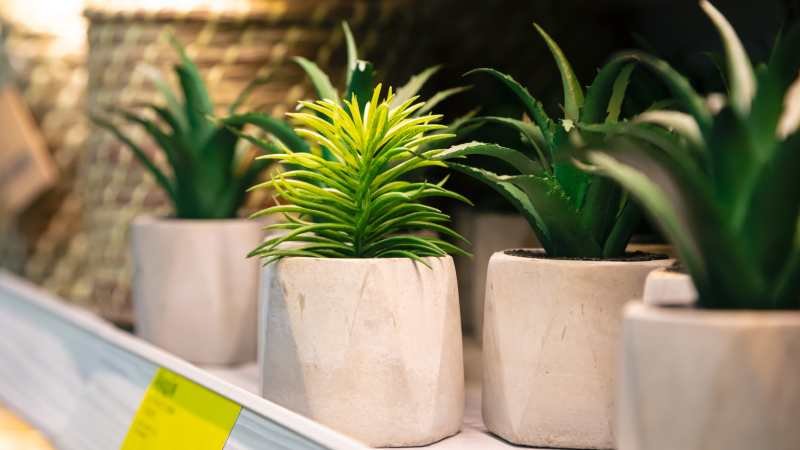 Ceramic Plant Pots
