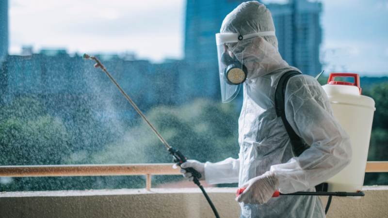 Effective Strategies for Pest Control in Wollongong: Keeping Your Home Safe and Pest-Free
