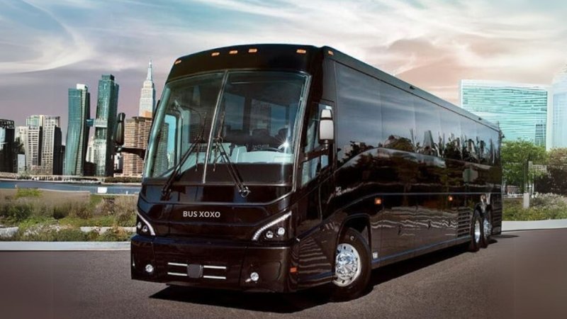 Illinois Charter Bus Rental for Weddings: Stress-Free Transportation for Your Special Day